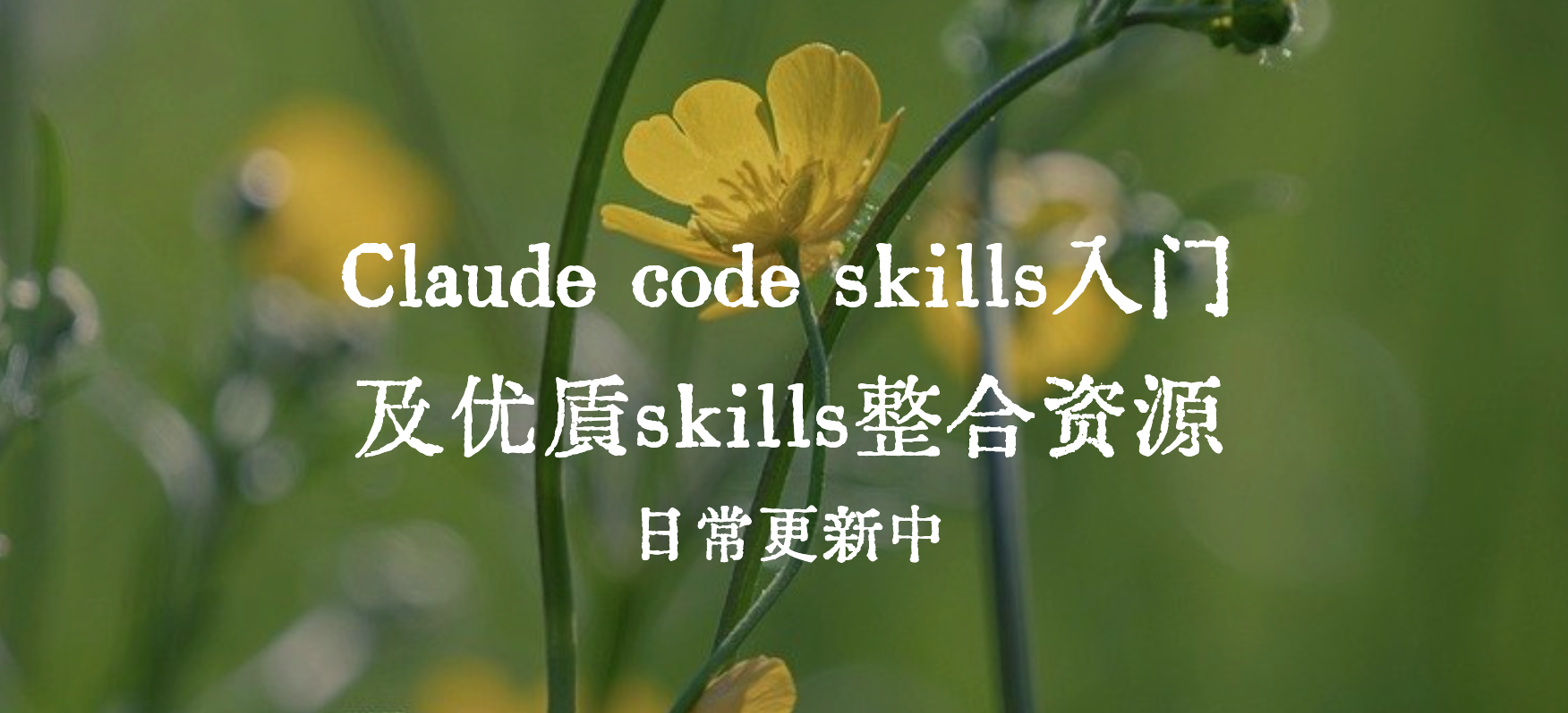 claude code skills入门及skills优质资源推荐- 六耳AI智能体-六耳 ...
